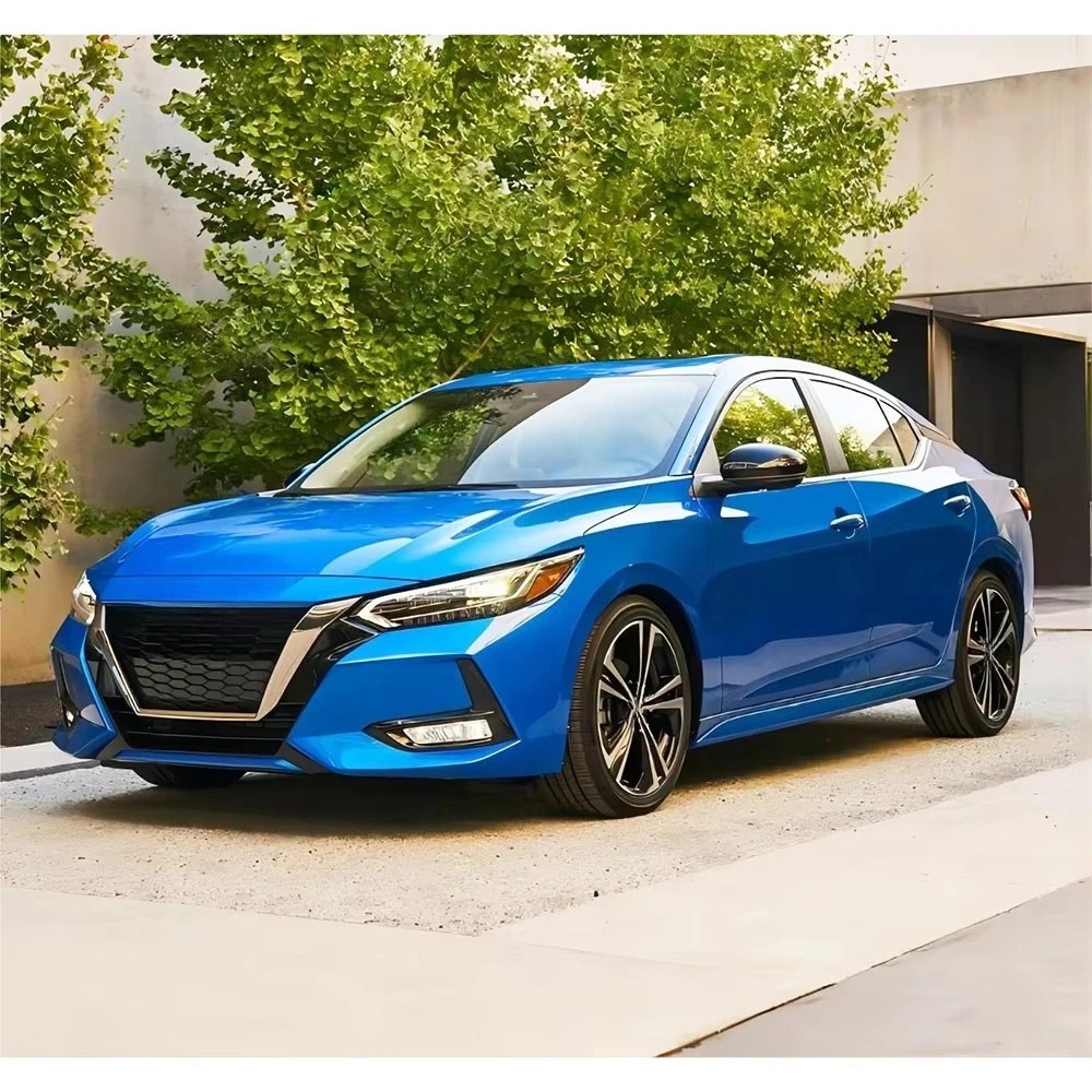 2020-ON  Sentra Sylphy Hot Selling Replaced Steel Car Rear Doors H2101-6LEEA H2100-6LEEA H21016LEEA H21006LEEA